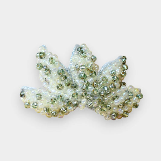 AGLONEMA (AG - 18029)